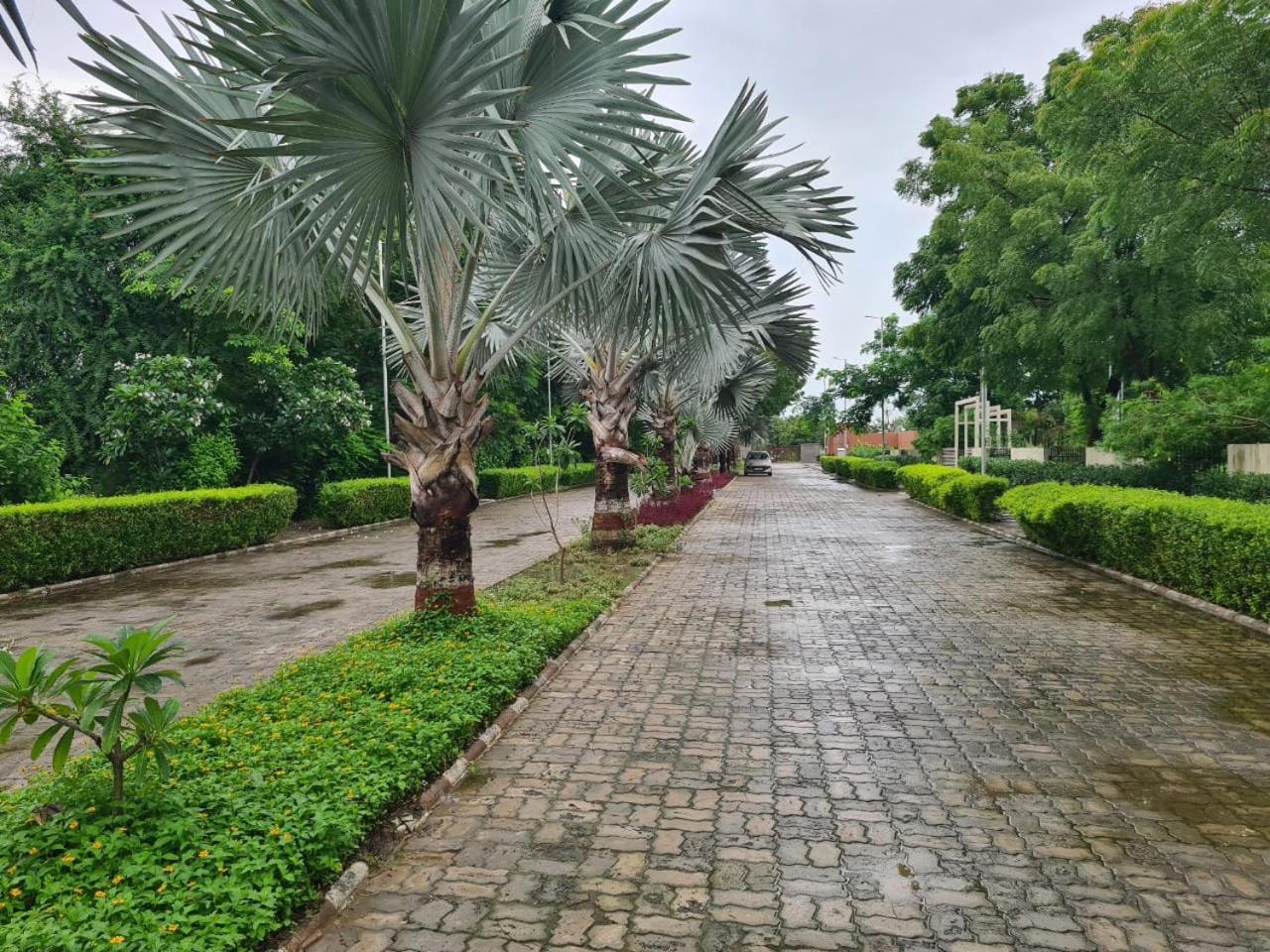 Club Azzurro Resort - Nalsarovar Nanodra Luaran gambar